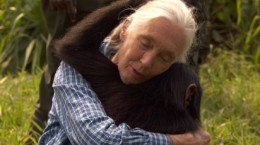 Jane Goodall-1