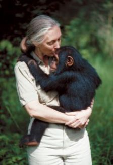 Jane Goodall-2