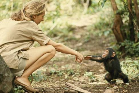 Jane Goodall-5
