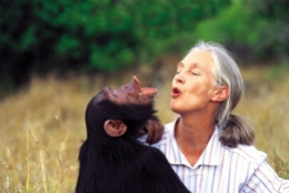 Jane Goodall-6